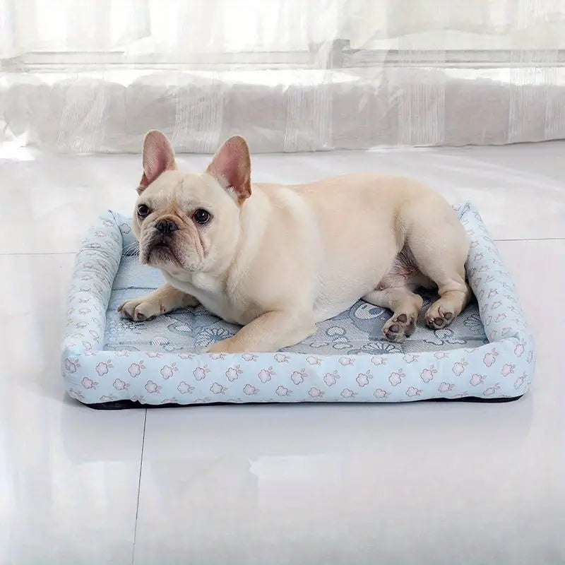 Pet Beds & Bedding
